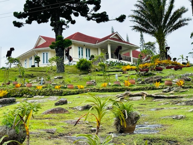 Landscape